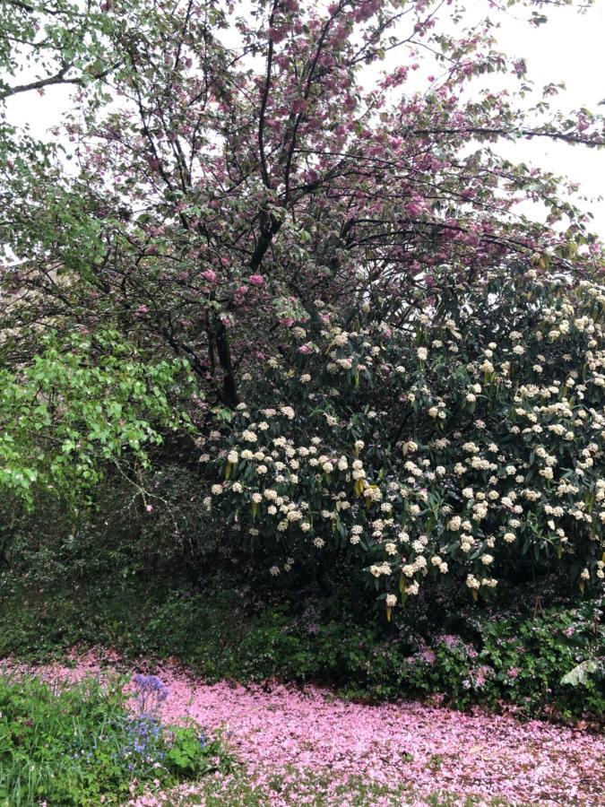 Au Rez De Jardin 호텔 숄레 외부 사진