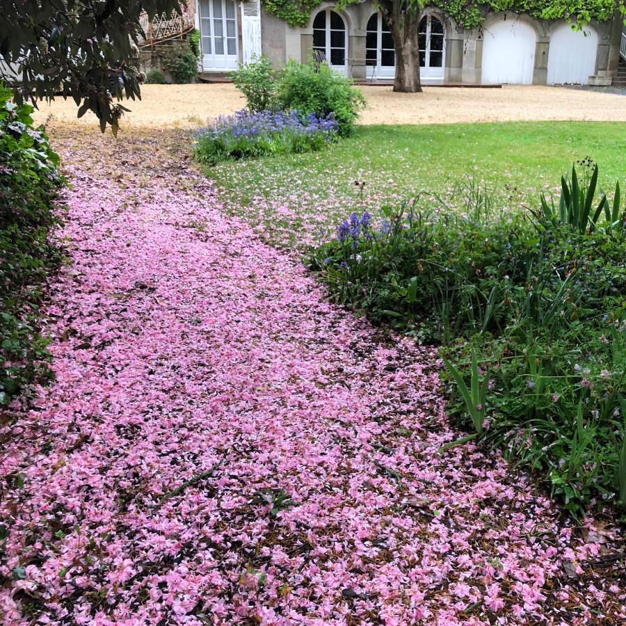 Au Rez De Jardin 호텔 숄레 외부 사진