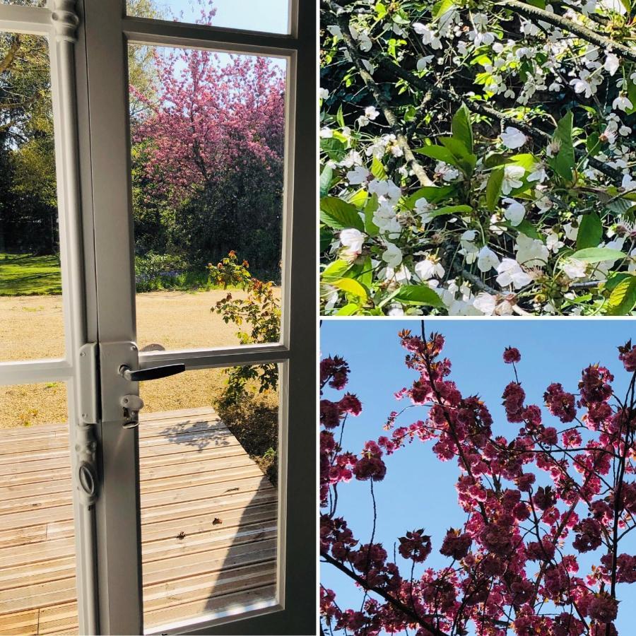 Au Rez De Jardin 호텔 숄레 외부 사진