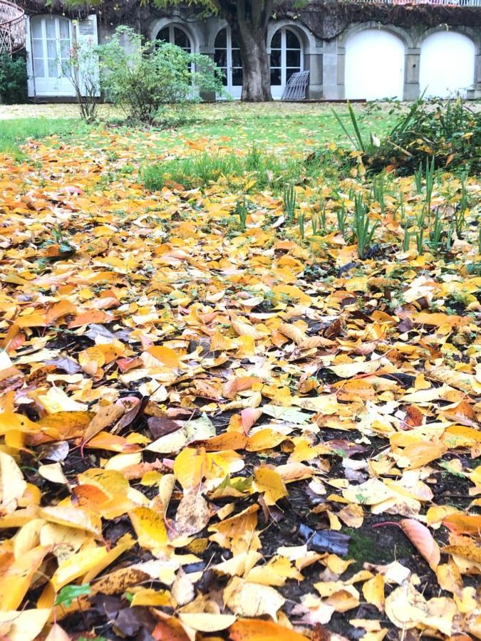Au Rez De Jardin 호텔 숄레 외부 사진