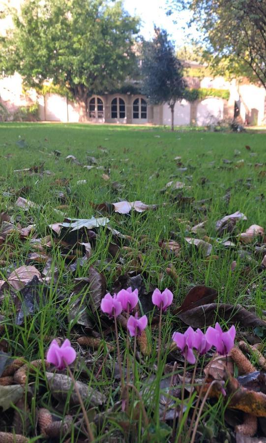 Au Rez De Jardin 호텔 숄레 외부 사진
